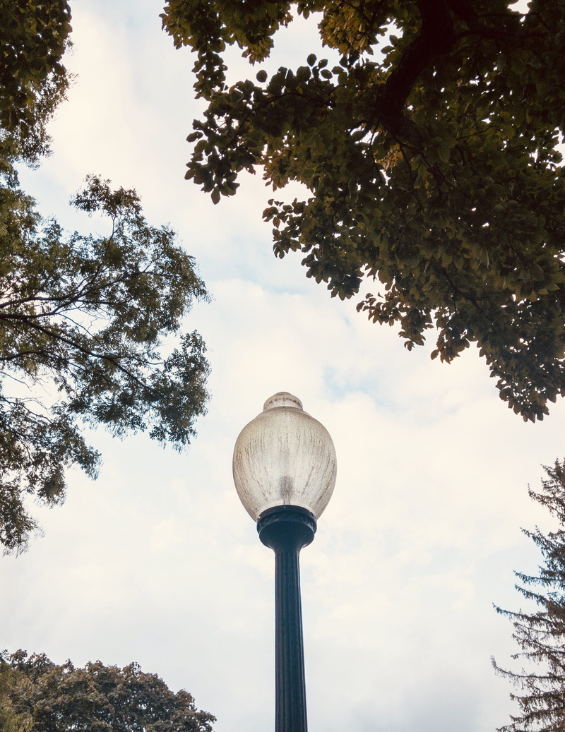 low angle view, tower, cloud - sky, united states, nature, providence, day, 4K, tree, architecture, tall - high, plant, spire, outdoors, city, building exterior