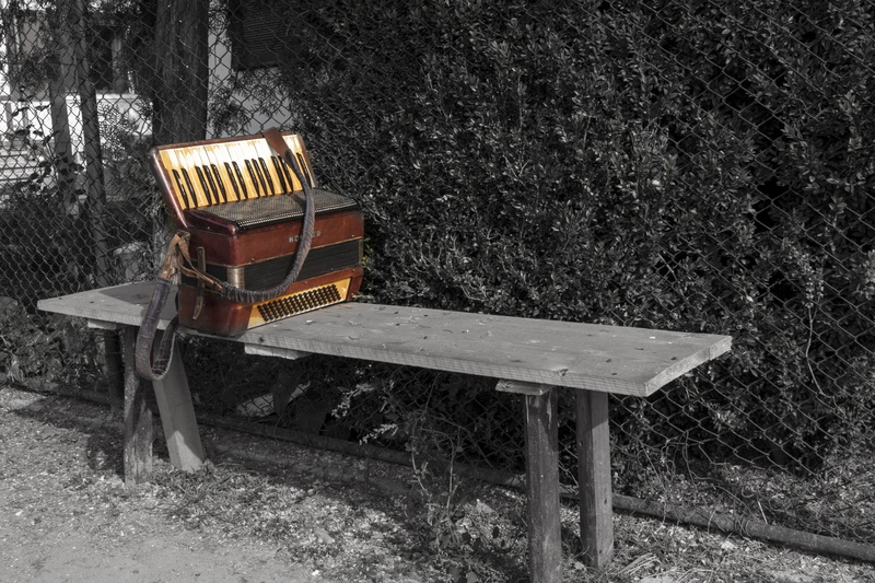 seat, sound, accordion, instrument, musician, field, absence, wood - material, culture, playing, brown, octave, entertain, high angle view, music, snow
