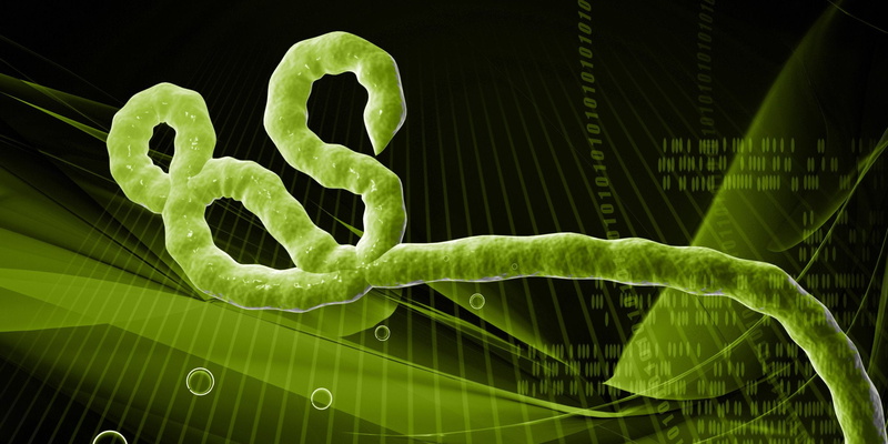 horror, 1080P, Virus, Ebola, Dark, Disease, Medical