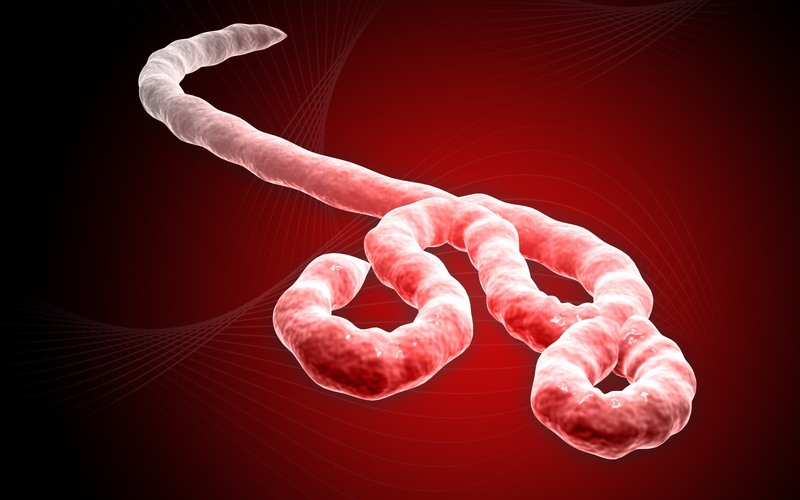 2K, horror, ebola, medical, dark, virus