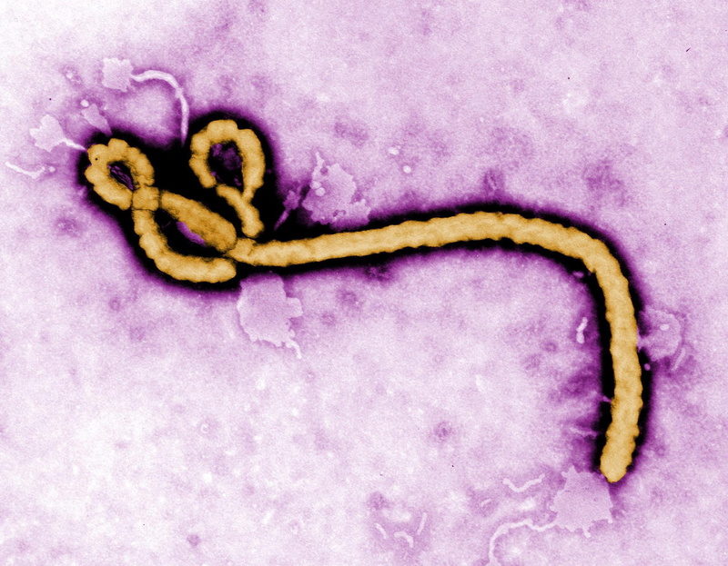 dark, virus, 1080P, horror, medical, ebola