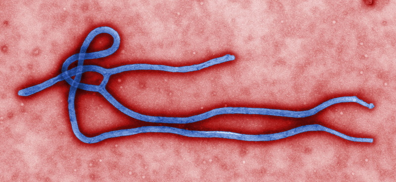 Disease, Dark, 2K, horror, Medical, Ebola, Virus