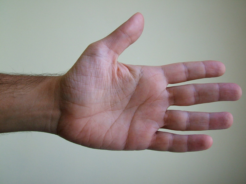 left, real people, men, adult, hand, body part, studio shot, close-up, body, human hand, handshake, palm, detail, human limb, communication, people, gesturing
