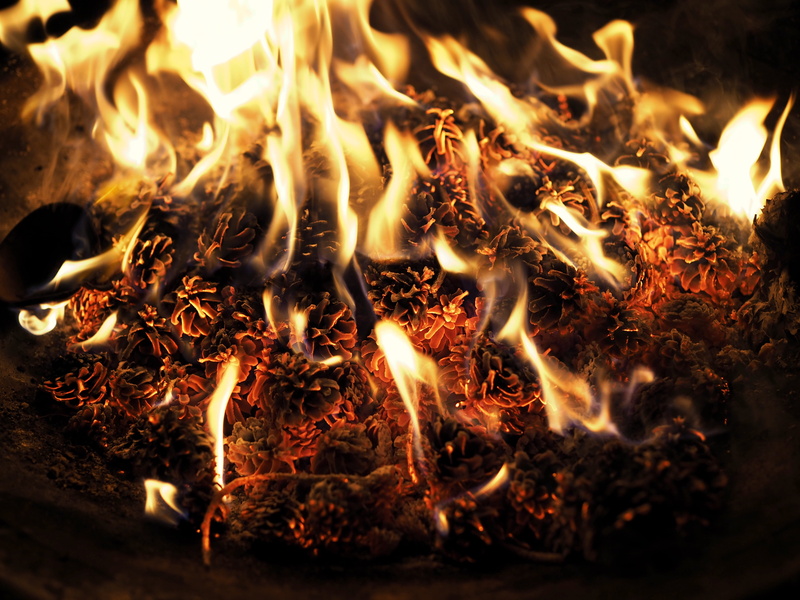 night, embers, pinecones, fire - natural phenomenon, lapse, 4K, pine cones, long exposure, burning, time, ash, fire pit, smoke, burn, glowing, nature