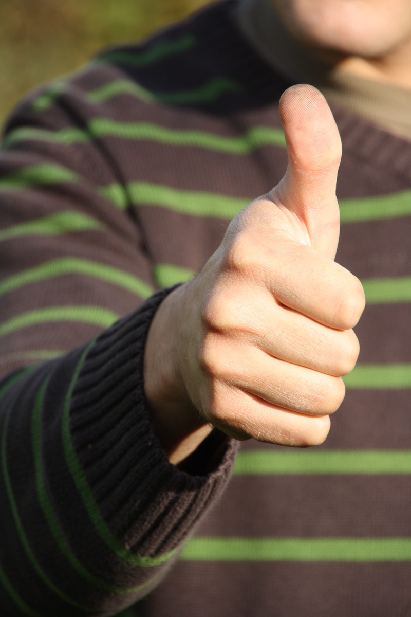 midsection, finger, human hand, sign, thumbs up, leisure activity, body part, standing, thumb, showing, real people, one person, approve, prima, day, hand