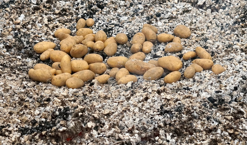 gravel, land, drink, benefit from, summer, solid, hot, charcoal, pebble, nature, beach, nutrition, abundance, potato roast, delicious, tubers, outdoors