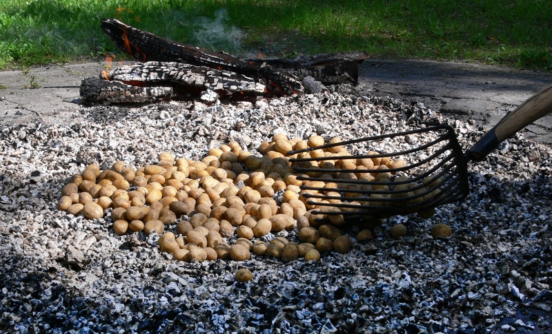 vegetable, kindle, group, solid, food, tradition, fruit, charcoal, potato, day, land, no people, heat, nature, fire, delicious, healthy eating, embers
