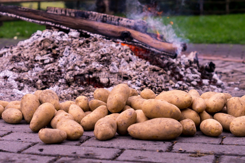 group, tasty, root vegetable, charcoal, wellbeing, outdoors, pleasure, embers, healthy eating, plant, gardening, vitamins, autumn, shell, flame, focus on foreground