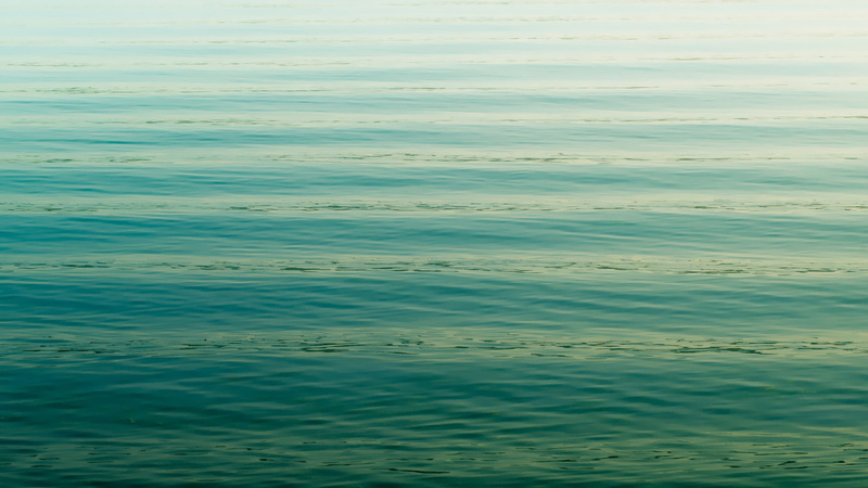 1080P, HTC One M8, HTC Sense 6