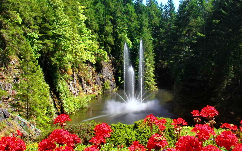 fountain, senses, petal, greenery, red, delight, sense, rocks, trees, grass, hidden, 1080P, flowers, colorful, stones