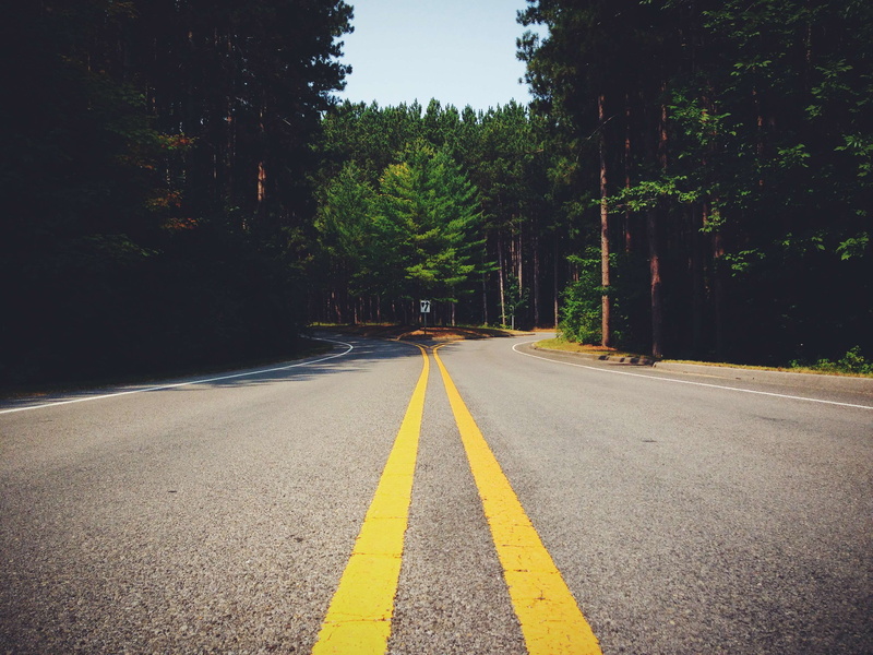 2K, nature, forest, dividing line, empty road, decision, surface level, outdoors, road marking, double yellow line, diminishing perspective, fork, symmetry