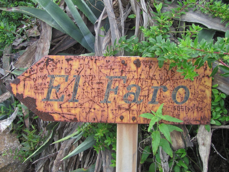 atlantic, growth, plant, trail, more, plant part, information, away, communication, jungle, shield, mountain path, hike, nature, text, mountain, green color