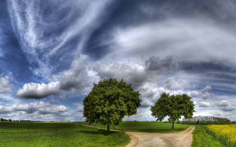 sun, scenics, rural Scene, day, tree, forest, blue, hay, idyllic, the sky, beautiful, non-Urban Scene, trees, tranquil Scene, grass, path, sunlight, short