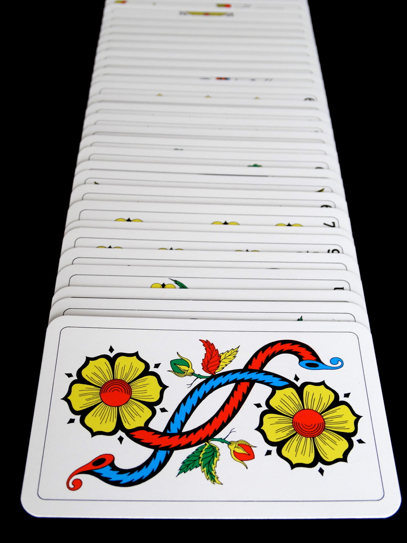 day, high angle view, vertebrate, yellow, play, cut out, Cards, lose, multi colored, Card Game, 5K, still life, indoors, jass cards, animal representation
