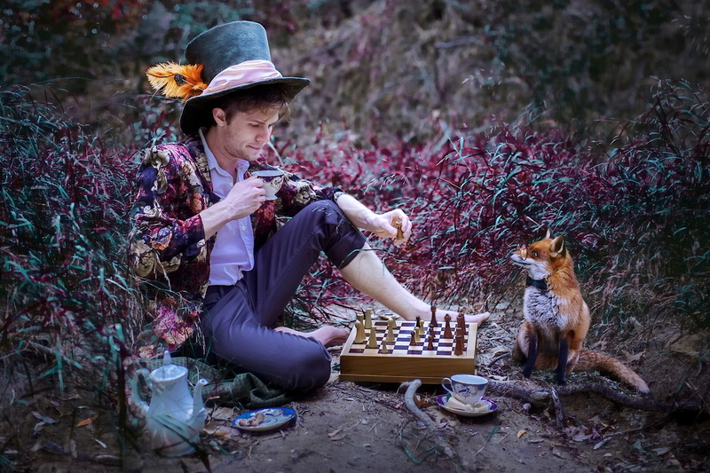 chess, guy, the tea party, 1080P, nature, Fox, hat