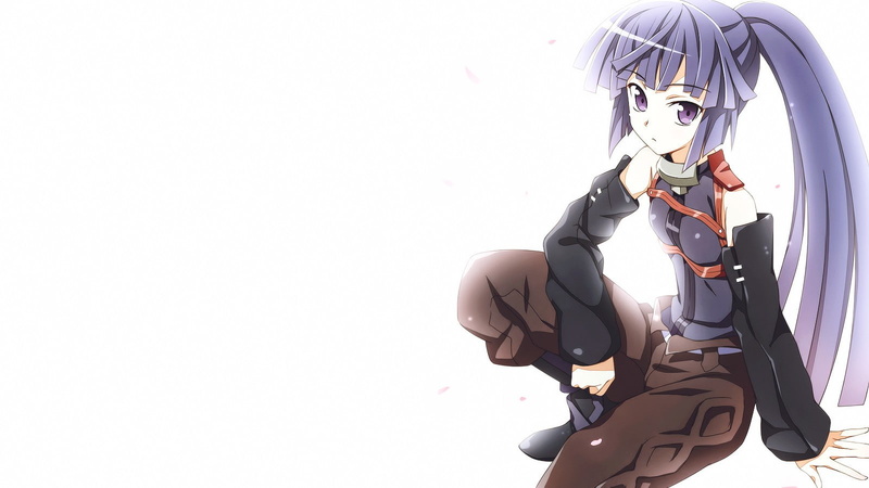 Log Horizon, purple eyes, purple hair, anime, Akatsuki (Log Horizon), long hair, anime girls, simple background, 720P