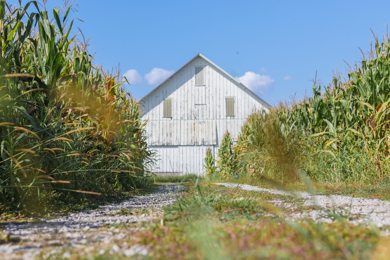 house, united states, architecture, building, green color, chenoa, bokeh, no people, explore, built structure, building exterior, farming, farm, footpath