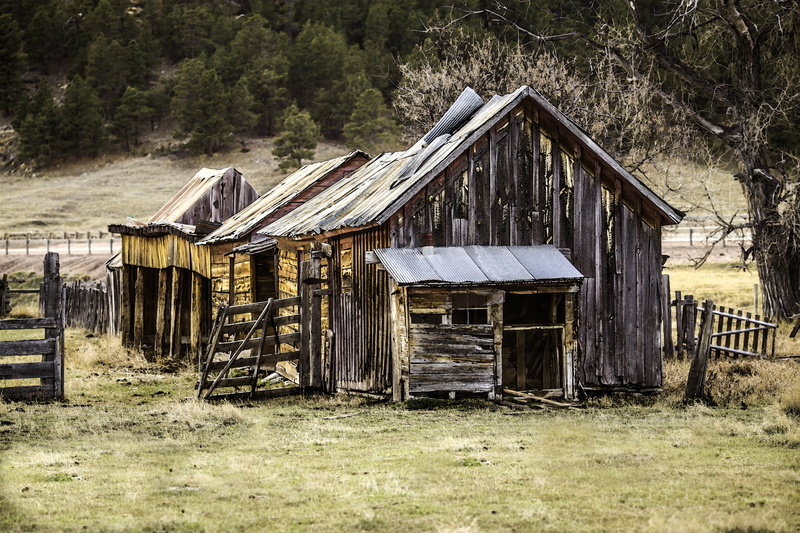 agricultural building, rustic, deterioration, no people, abandoned, wooden, built structure, grunge, plant, outdoors, forest, building, barn, hut, day