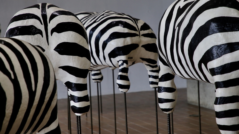 zebra, horse, herbivorous, nature, prison, road, railing, animal, zoo, art and craft, pattern, side by side, tarmac, four, tugboat, large group of objects