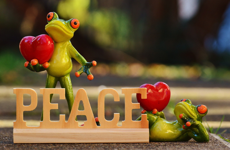 western script, backgrounds, yellow, wood - material, food, childhood, toy, frogs, table, 5K, communication, peaceful, animal representation, animal themes