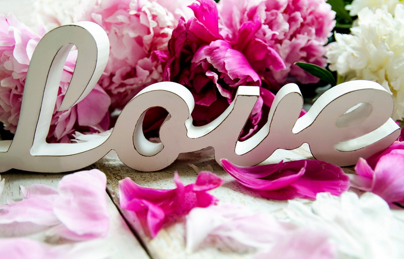 elegance, flowering plant, romance, flower, day, celebration, pink Color, unhealthy eating, greeting, no people, standee, ornate, flowers, peonies, bouquet