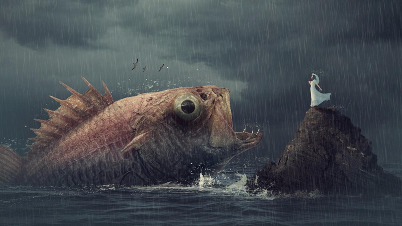 animal wildlife, raining, outdoors, fish, scene, nature, animals in the wild, effect, sea, rock, underwater, no people, rainy, day, ocean, rain, scenery