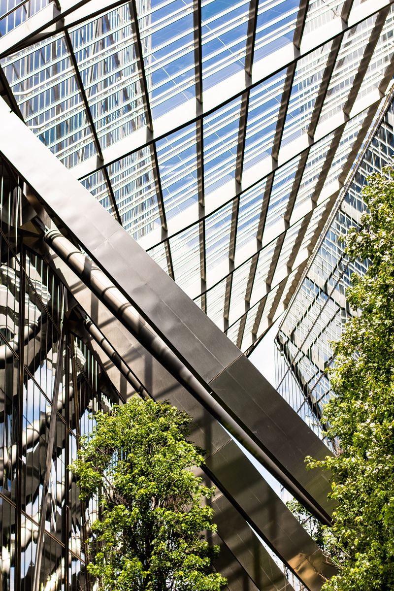 leaves, steel, shadows, green, hd, background, ceiling, shoreditch, united kingdom, 5K, day, plant, building exterior, building, office building exterior