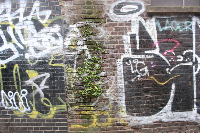 architecture, street art, plant, wall - building feature, text, graffiti street art, urban, mural, art, creativity, communication, art and craft, wall