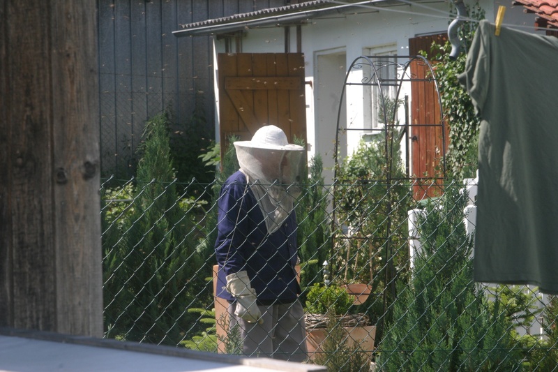 metal, protection, security, gardening, growth, barrier, outdoors, work, honey bees, hobby, beekeeper, safety, garden, honey combs, building exterior, bee breeding