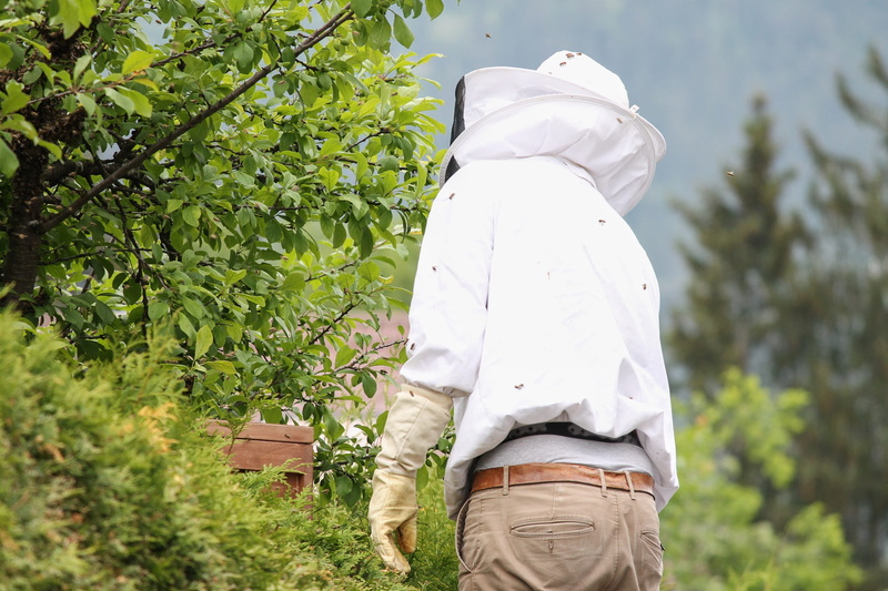 day, protective clothing, honey production, bees, clothing, sting, adult, beekeeping, real people, three quarter length, 4K, rear view, focus on foreground