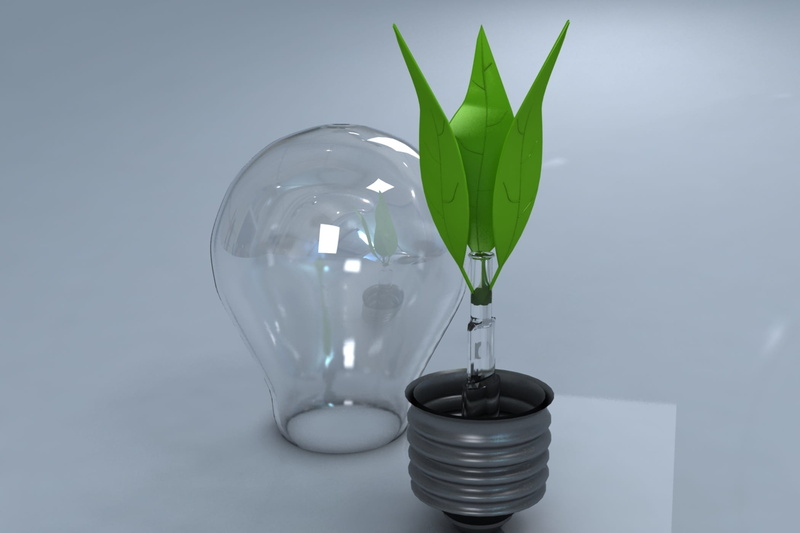 environmental conservation, close-up, no people, glass - material, lighting equipment, plant, incandescent lamp, indoors, single object, fragility, nature