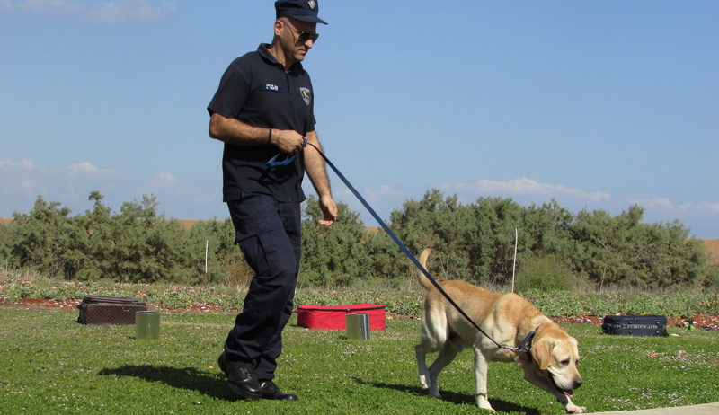 full length, plant, domestic animals, leash, domestic, man, 4K, dog, men, police dog, pet owner, police, mammal, demonstration, one person, nature, short