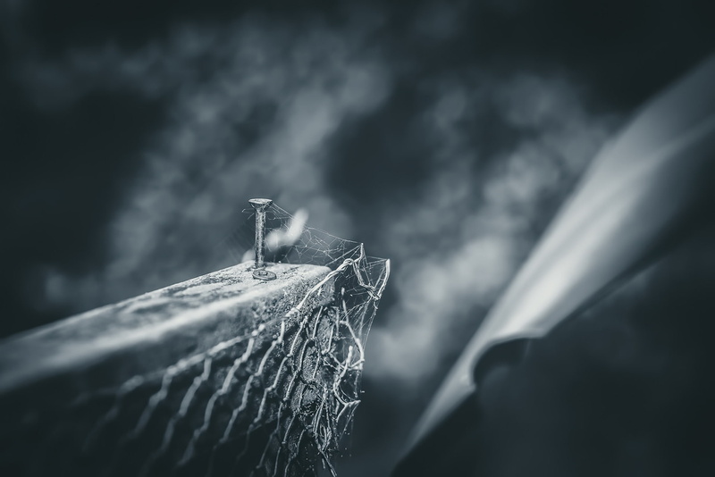 1080P, px, x, monochrome, hd, games, Spiderwebs, art, dark, video, 1920x1282 px, crysis, macro, Screws