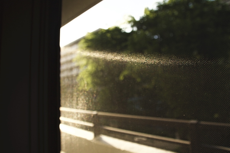 5K, window, day, raindrop, shadow, transparent, indoors, architecture, glass, nature, close-up, kanagawa, sagamihara, glass - material, focus on foreground