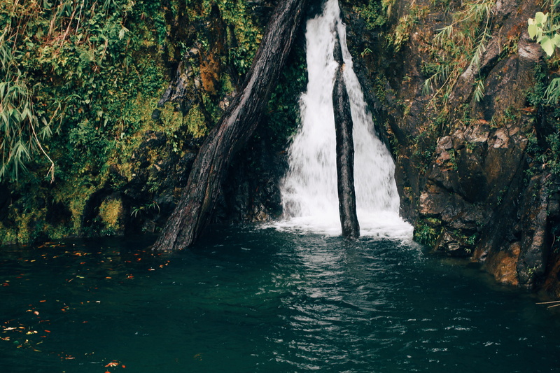 environment, motion, waterfront, tranquility, rainforest, rock, beauty in nature, tree, waterfall, land, power in nature, 5K, forest, water, nature, vietnam