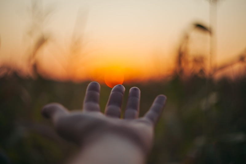 sky, plant, human finger, one person, hand, focus, laying, sunset, outdoors, reach, left, nature, orange color, selective focus, 2K, person, unrecognizable person