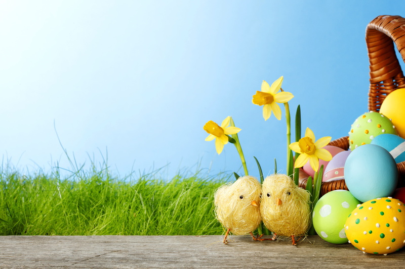 basket, rustic, yellow, season, ornate, table, two, multi Colored, plant, easter Decoration, food, spring, summer, no People, blue, 5K, chicks, outdoors