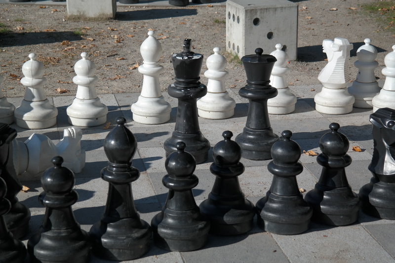 pawn - chess piece, arts culture and entertainment, queen - chess piece, chess, 5K, knight - chess piece, board game, day, chess pieces, lady, chess game