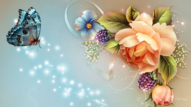 1080P, another Beautiful Day HD Desktop Background, nature, butterfly, Hd, flower
