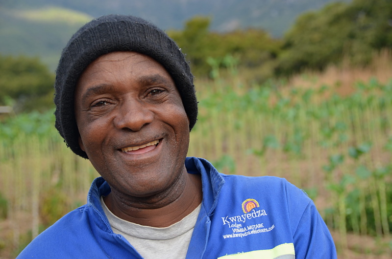 males, day, farmer, one person, men, man, looking at camera, photo, senior adult, happiness, zimbabwe, close-up, smiling, front view, headshot, emotion
