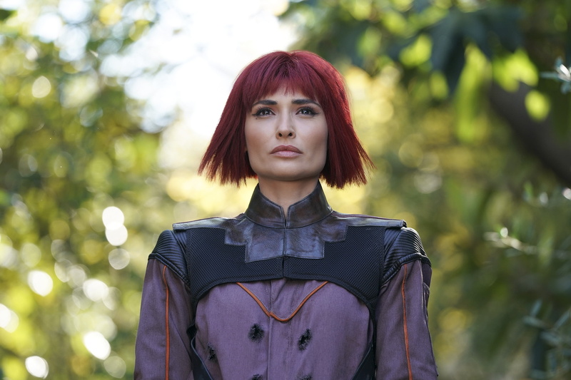 the series, 2K, Carolina Otter, The Agents Of " Shield", Izel, Agents of S.H.I.E.L.D., pose, look, makeup