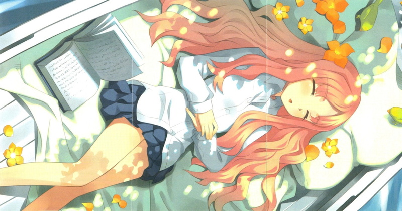 Anime, Zero No Tsukaima, 1080P