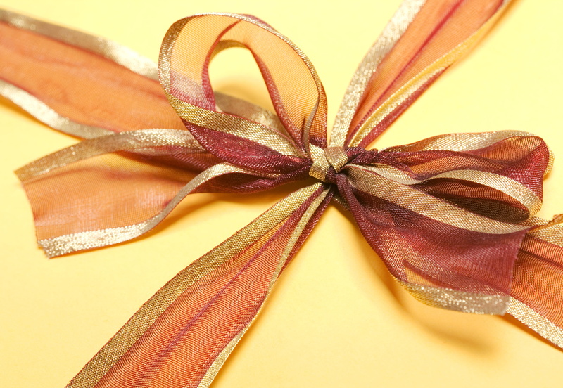 no people, flowering plant, bow, tie, single object, high angle view, wrapped, studio shot, close-up, still life, flower, table, selective focus, tied up