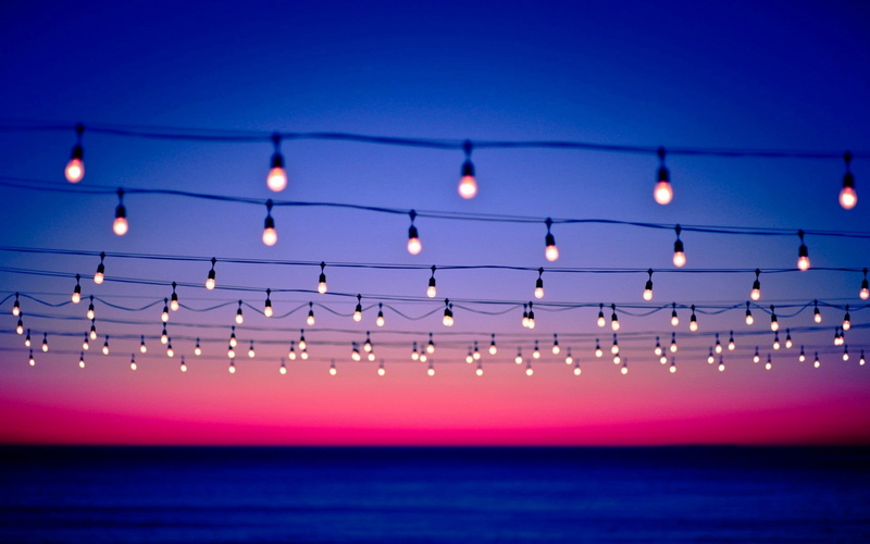 light bulb, depth of field, 1080P, sunset, nature