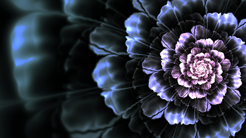 futuristic, abstract, design, freshness, black Color, fragility, inflorescence, blue, ideas, glowing, background, no people, pattern, nature, flowering plant