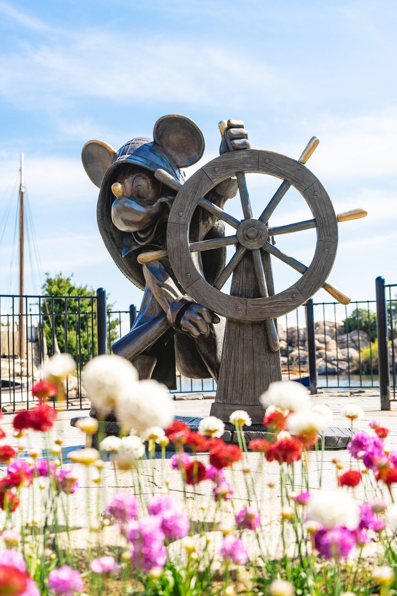 cloud - sky, play area, sculpture, mammal, freshness, animal, focus on background, outdoors, close-up, flower, no people, plant, blossom, nature, beauty in nature