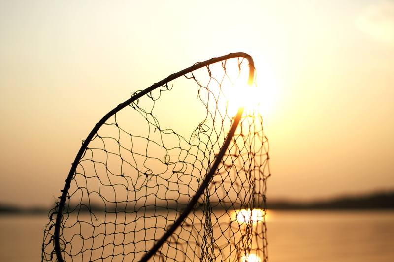 fishing Net, tranquility, blur, nature, sunset, scenics - nature, sea, leisure, copy space, no people, net, sunrise, fishing industry, beauty in nature