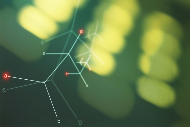 technology, pattern, science, molecules, selective focus, focus on foreground, fragility, day, beauty in nature, green Color, abstract, spider web, outdoors