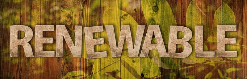 plant, art and craft, tree, boards, ecology, capital letter, alphabet, leaves, 5K, environment, heat, no people, aesthetic, forward, forest, indoors, message