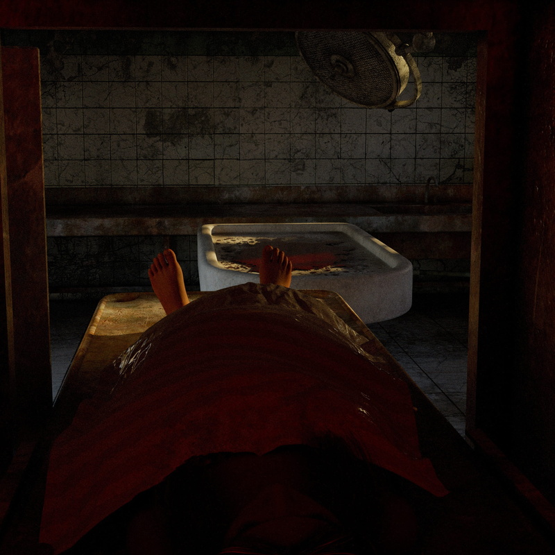 near, weird, human, lying, nature, wall - building feature, still life, furniture, food, animal, scary, nightmare, kitchen, mortuary, indoors, bathtub